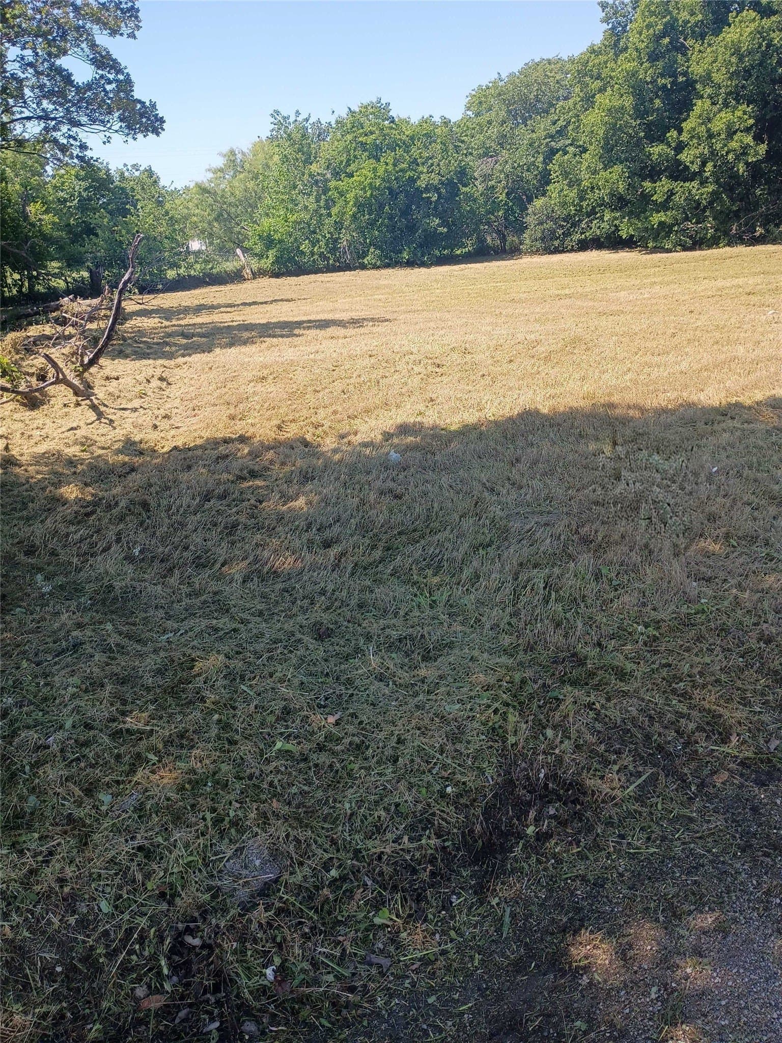 0.12 acres in Palo Pinto County - photo 2