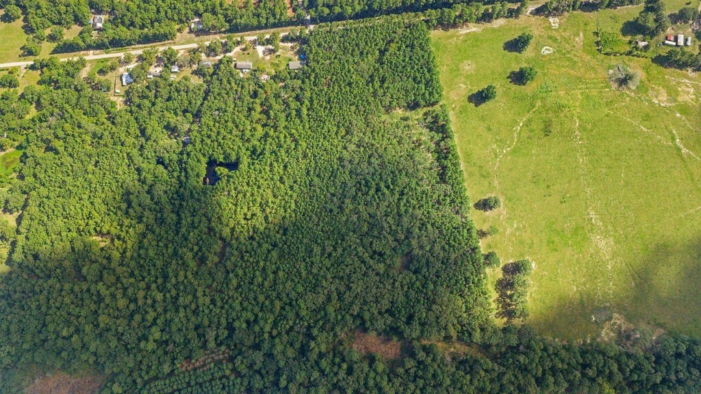 13.9 acres in Texas County - photo 6