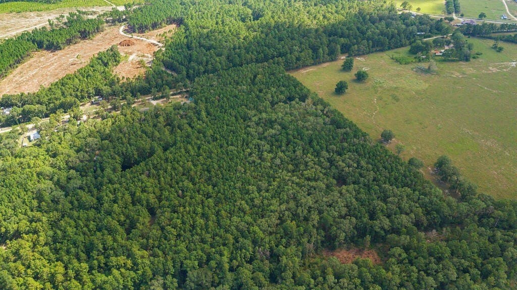 13.9 acres in Texas County - photo 5