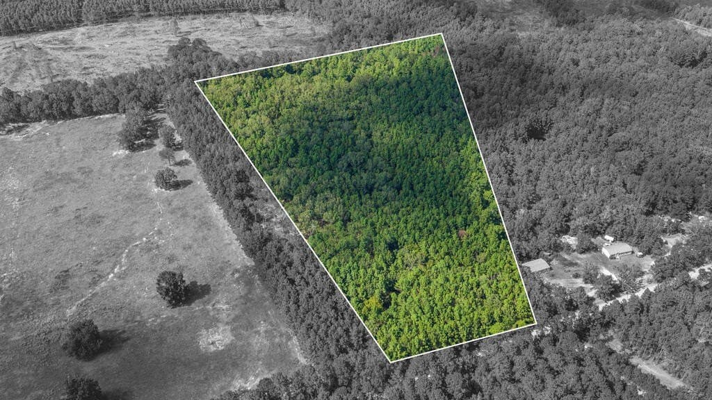 13.9 acres in Texas County