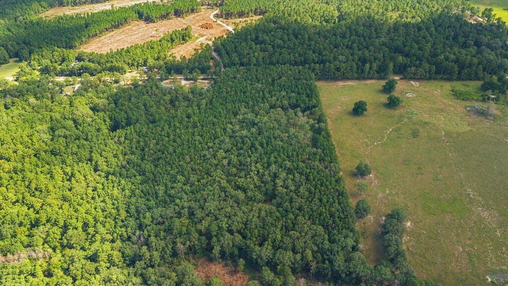 13.9 acres in Texas County - photo 4