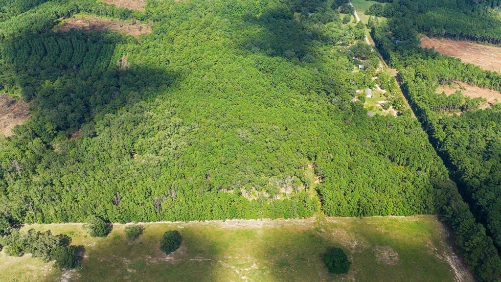13.9 acres in Texas County - photo 2