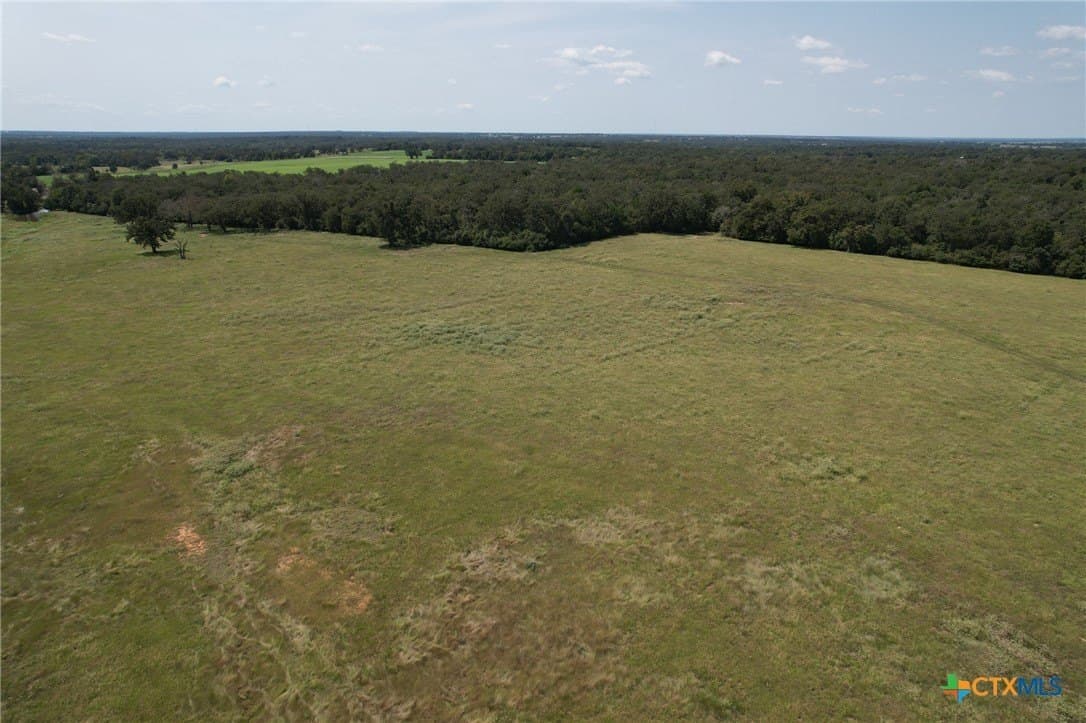140.29 acres in Milam County - photo 15