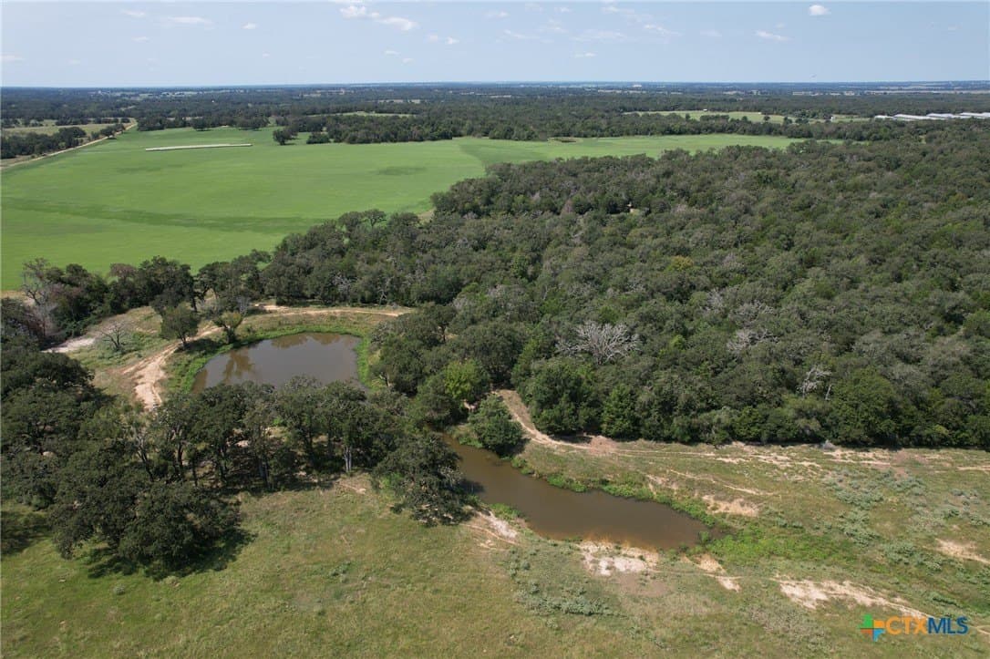 140.29 acres in Milam County - photo 8