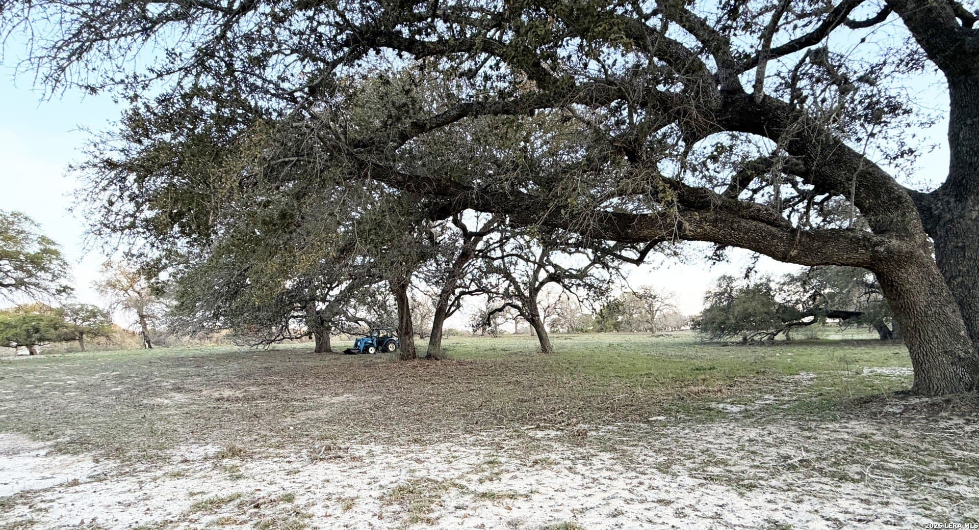 5.7 acres in Wilson County gallery image 4