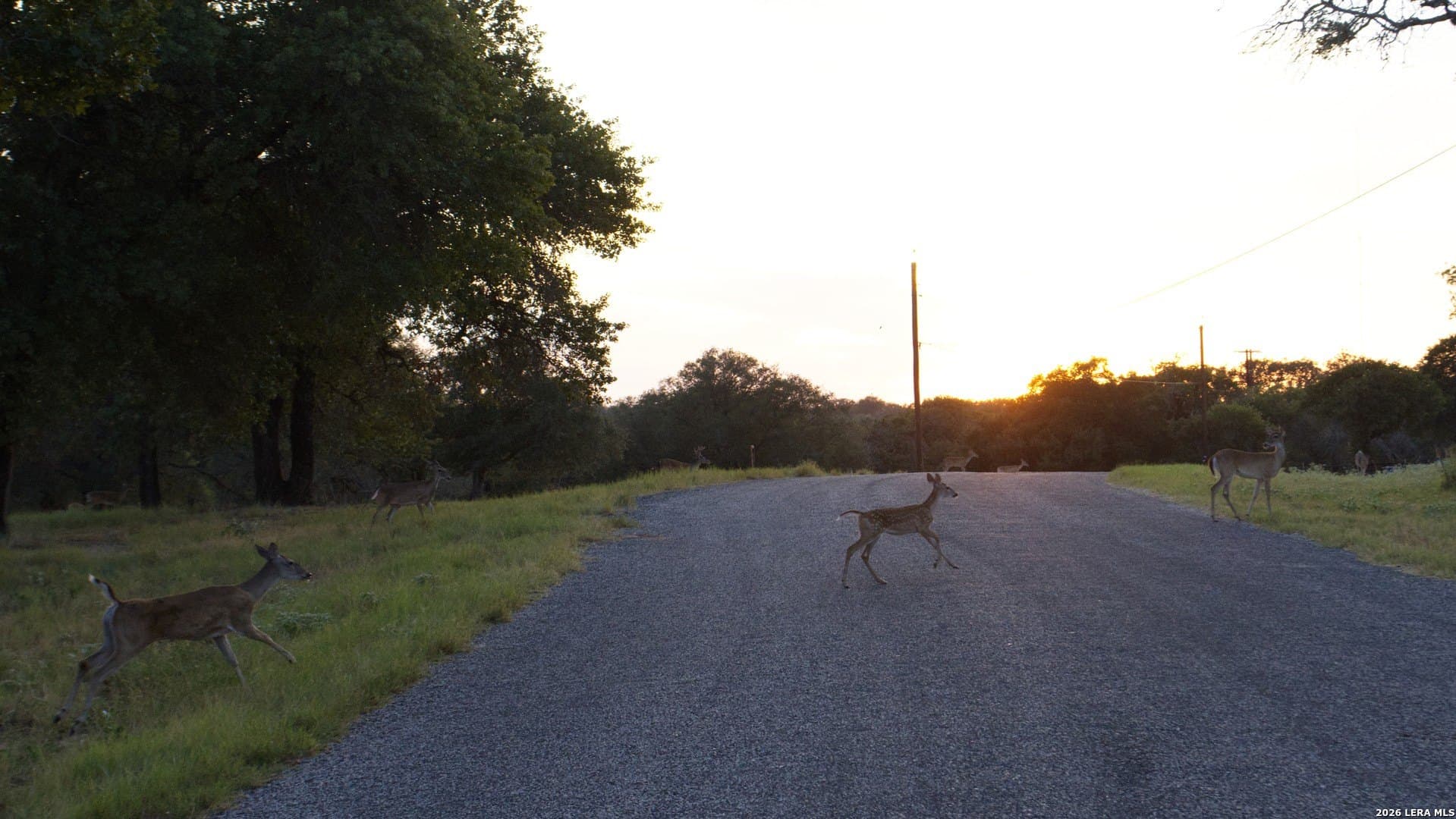 5.7 acres in Wilson County featured view