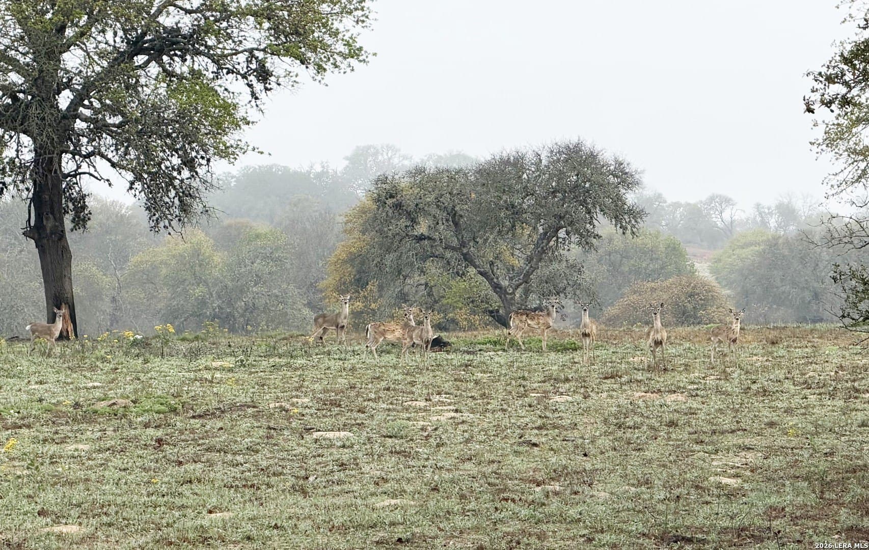 5.7 acres in Wilson County