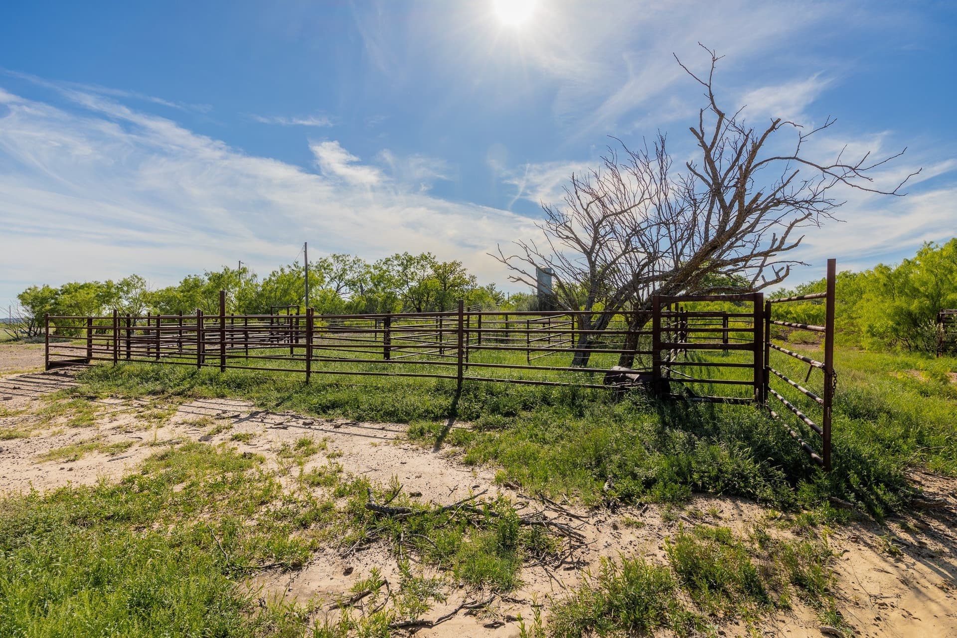 272 acres in Coleman County - photo 7