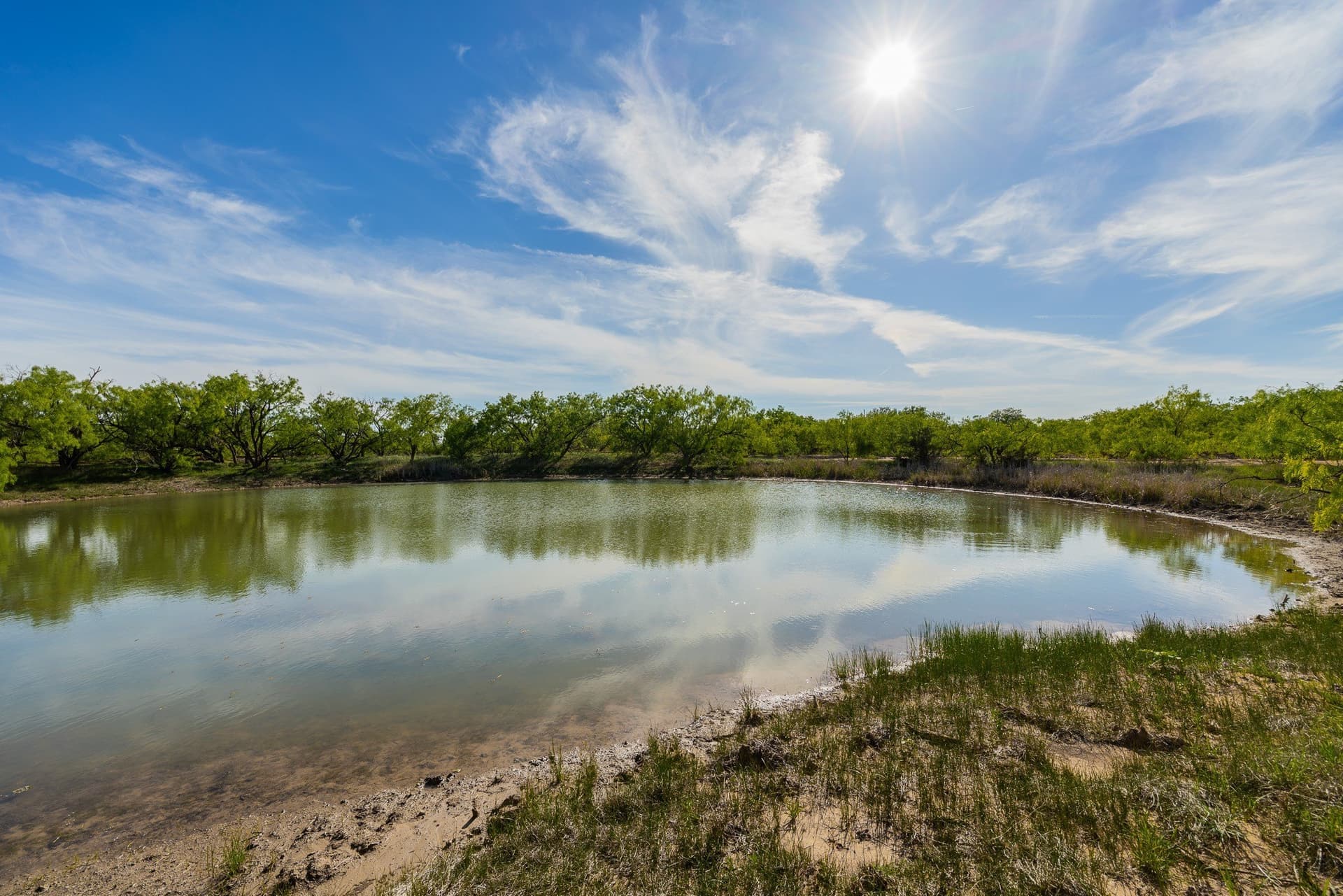 272 acres in Coleman County - photo 12