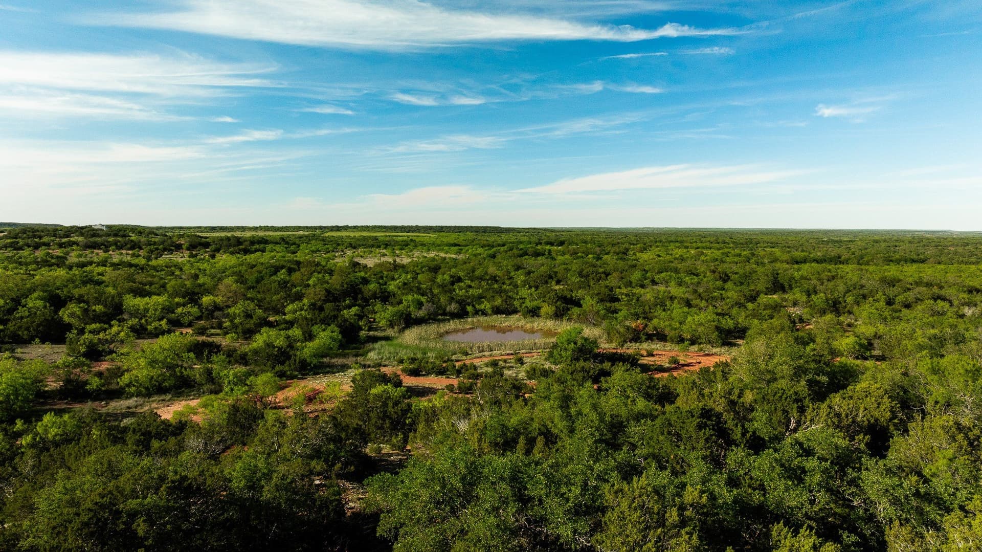 272 acres in Coleman County - photo 37