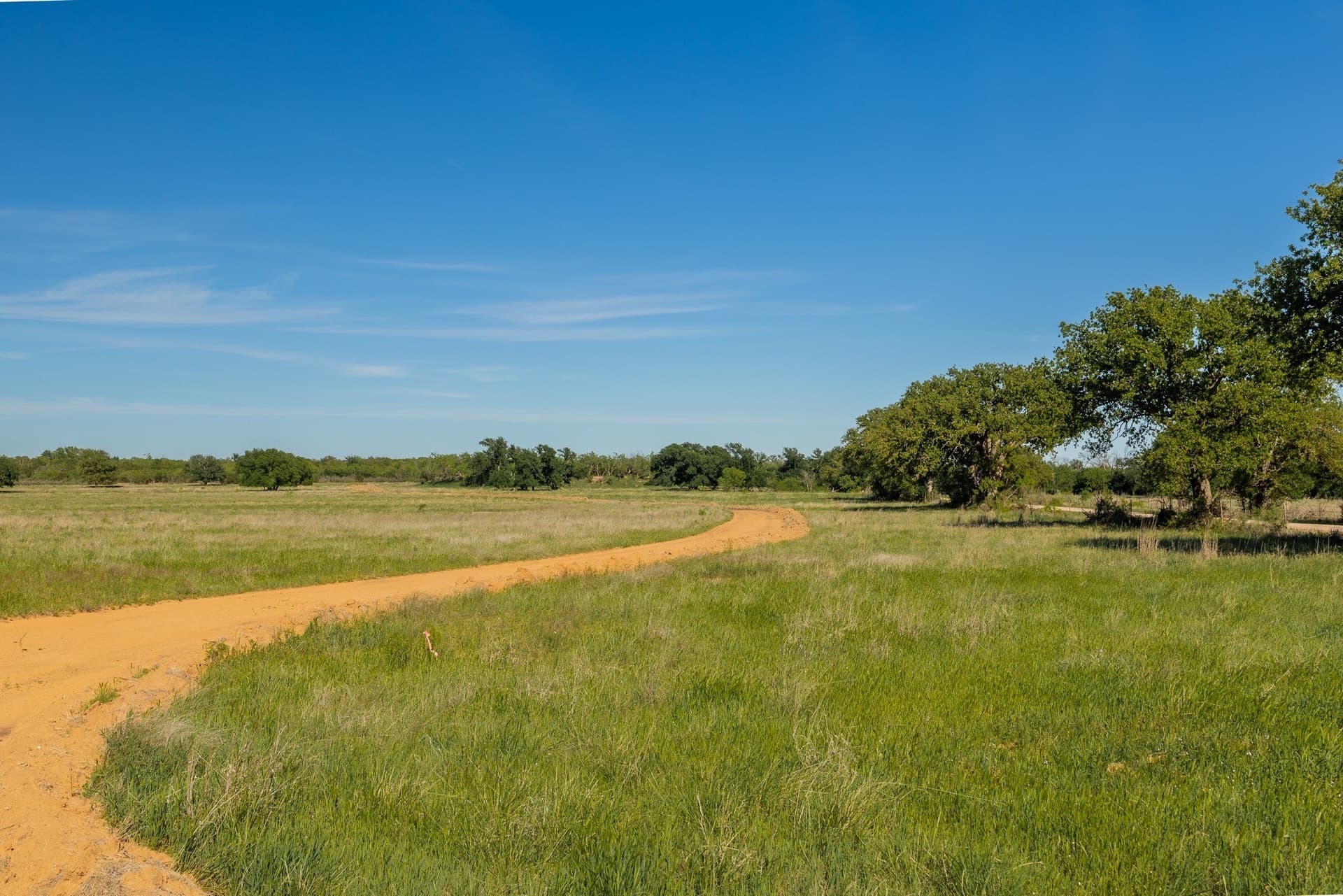 272 acres in Coleman County - photo 6