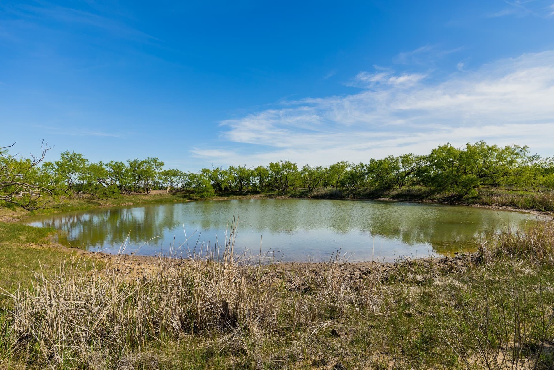 272 acres in Coleman County - photo 11