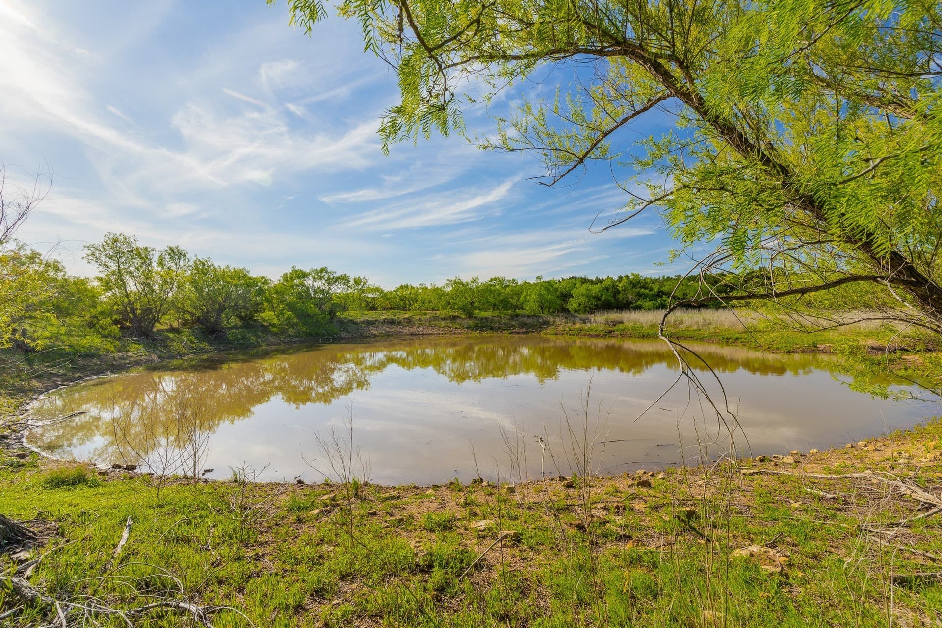 272 acres in Coleman County - photo 21