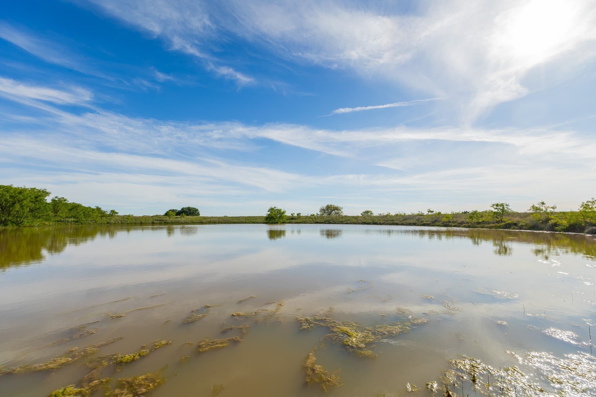 272 acres in Coleman County - photo 18