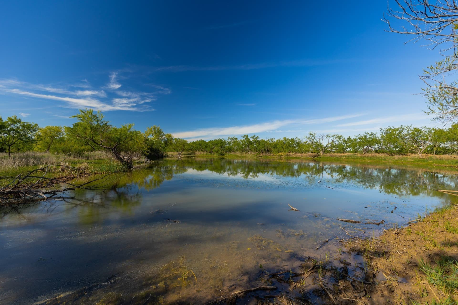 272 acres in Coleman County - photo 10