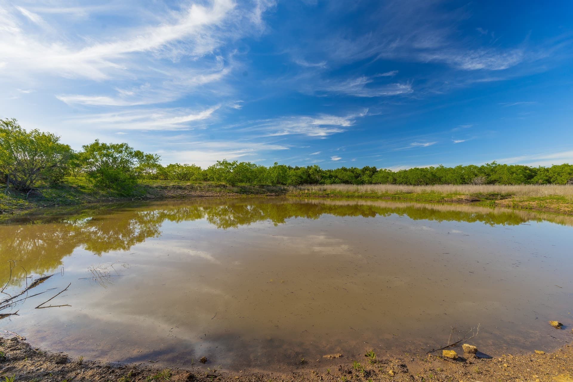 272 acres in Coleman County - photo 22