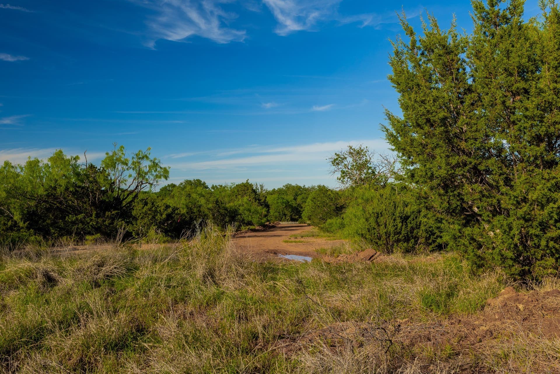 272 acres in Coleman County - photo 25