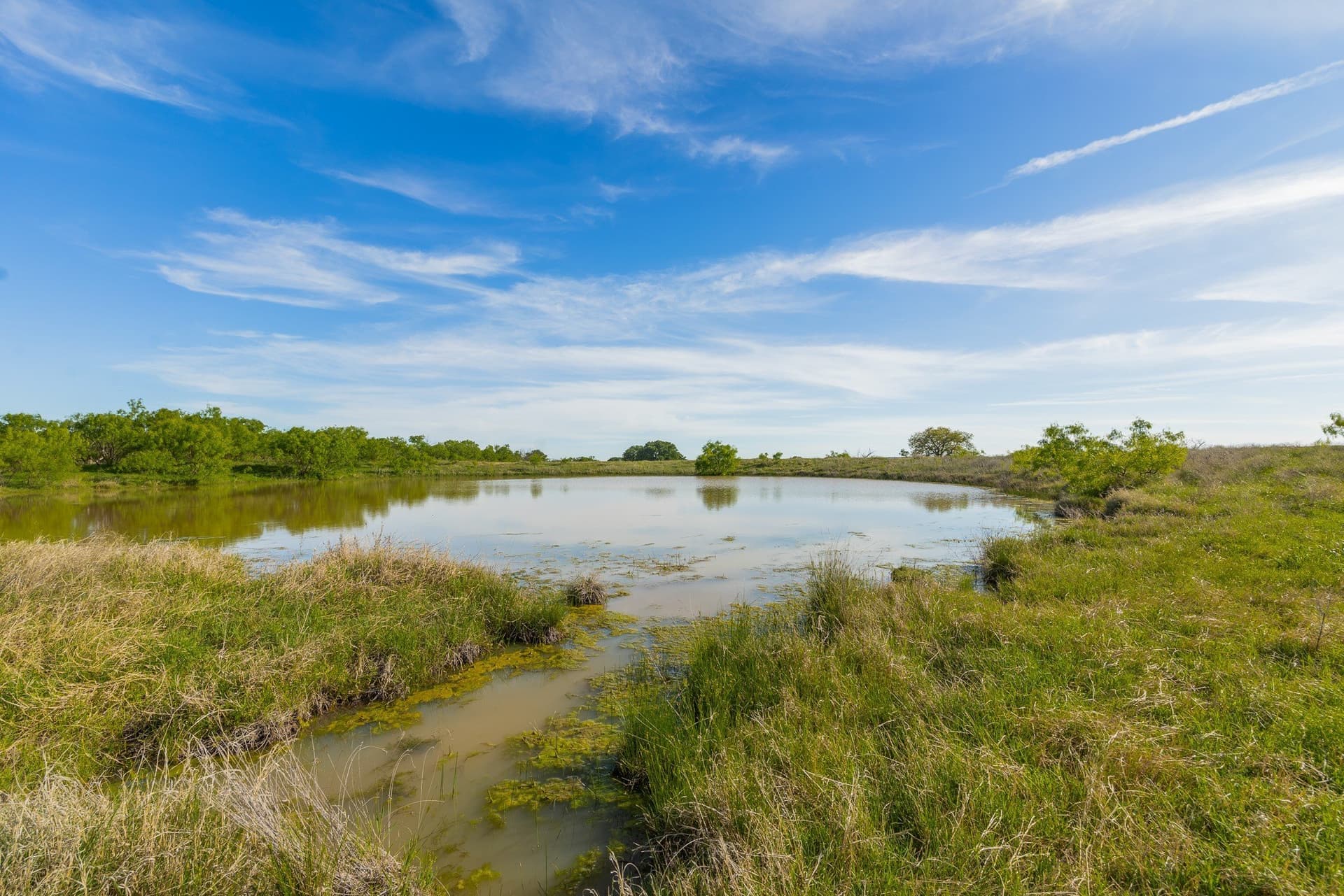 272 acres in Coleman County - photo 19