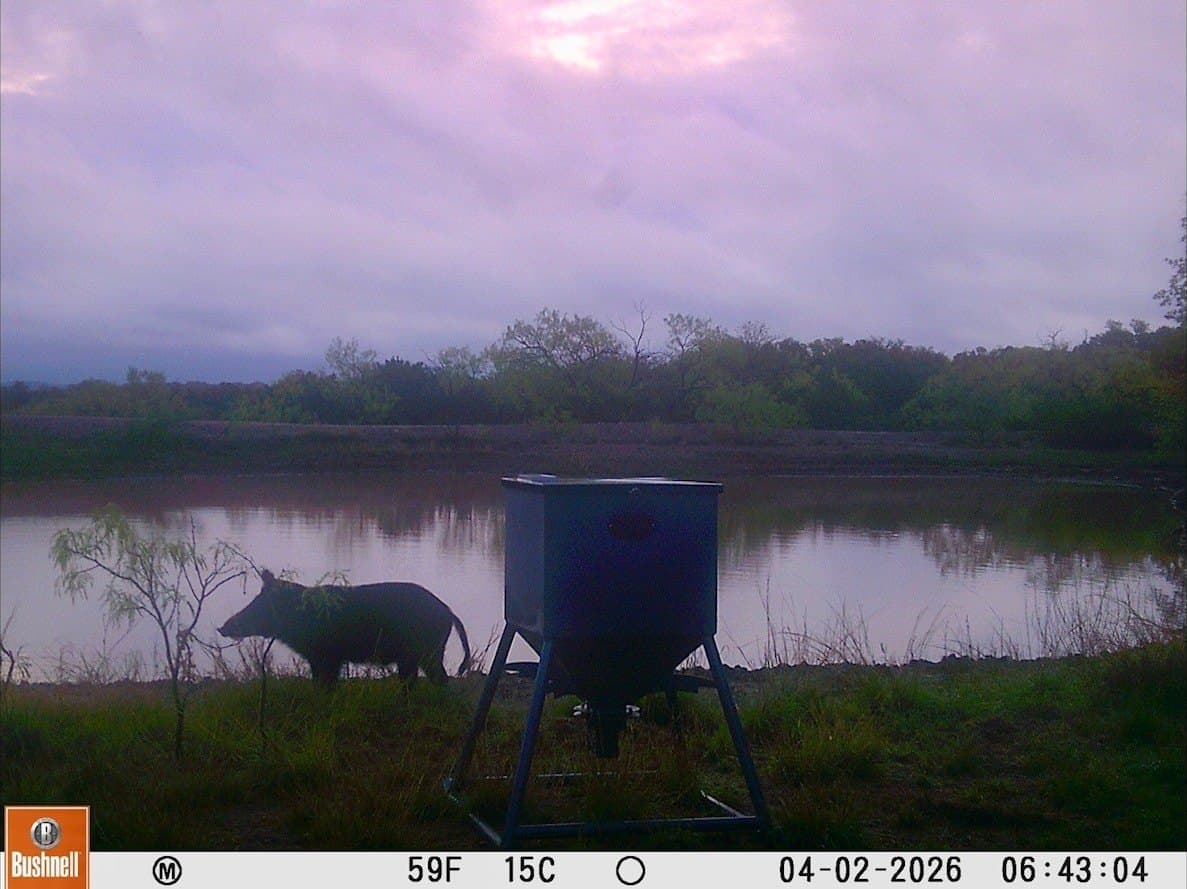 272 acres in Coleman County - photo 40
