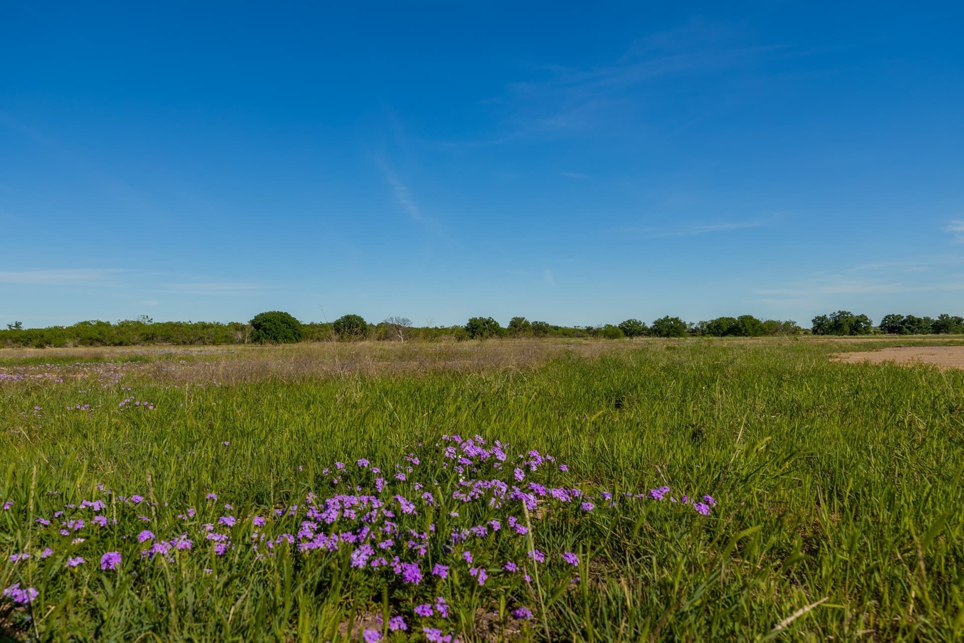 272 acres in Coleman County - photo 13