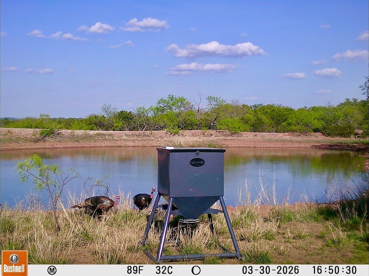 272 acres in Coleman County - photo 39