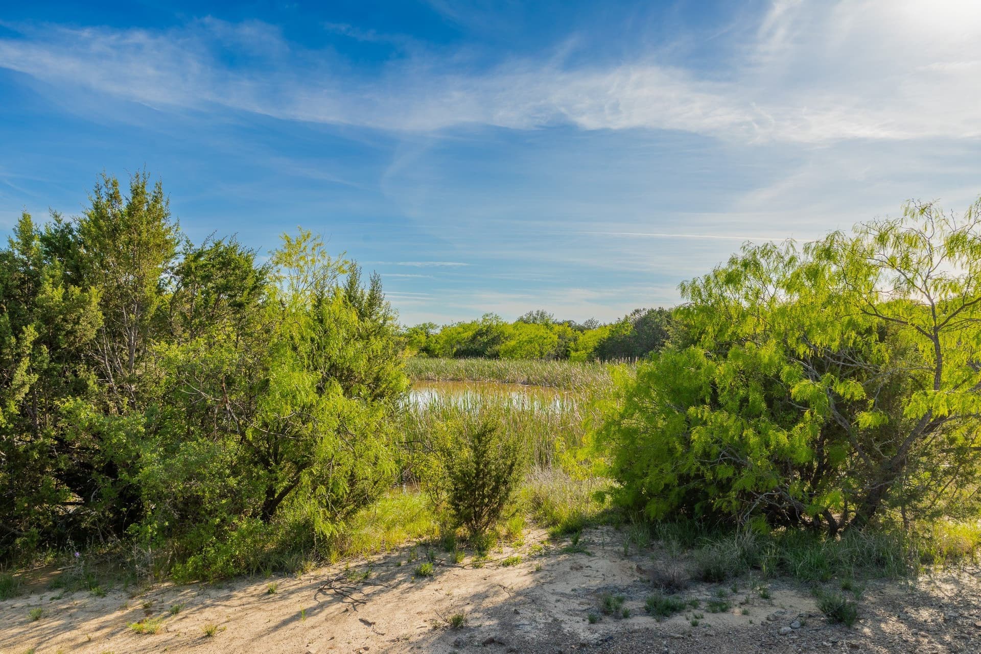 272 acres in Coleman County - photo 23