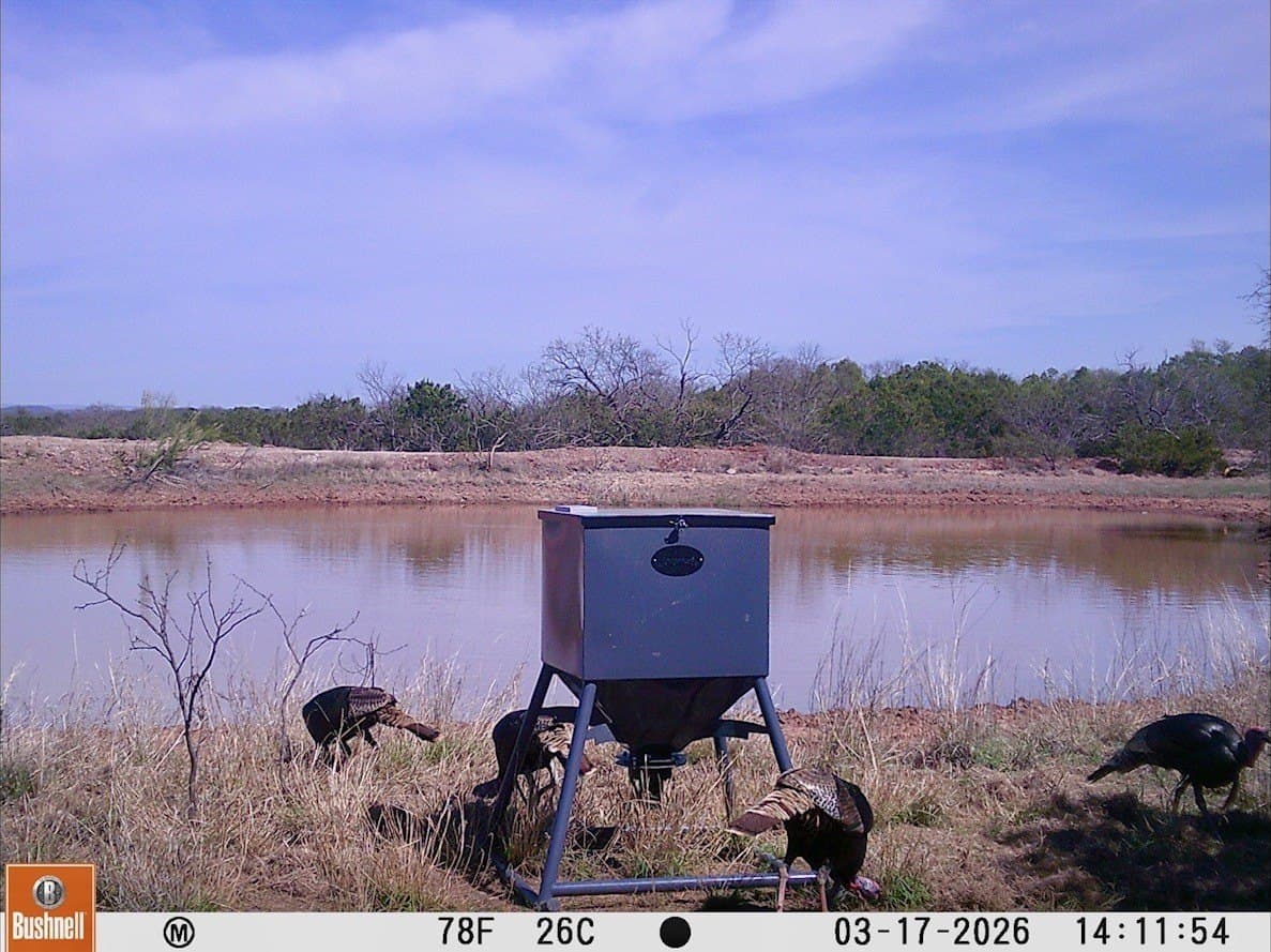 272 acres in Coleman County - photo 38