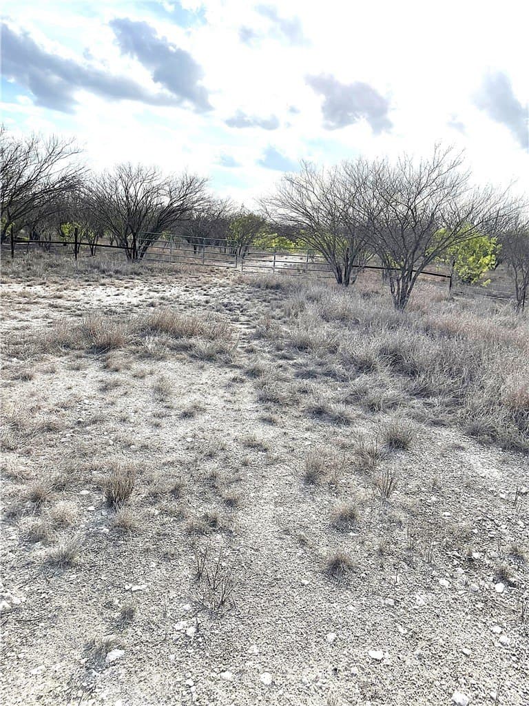 59.54 acres in Bee County gallery image 3