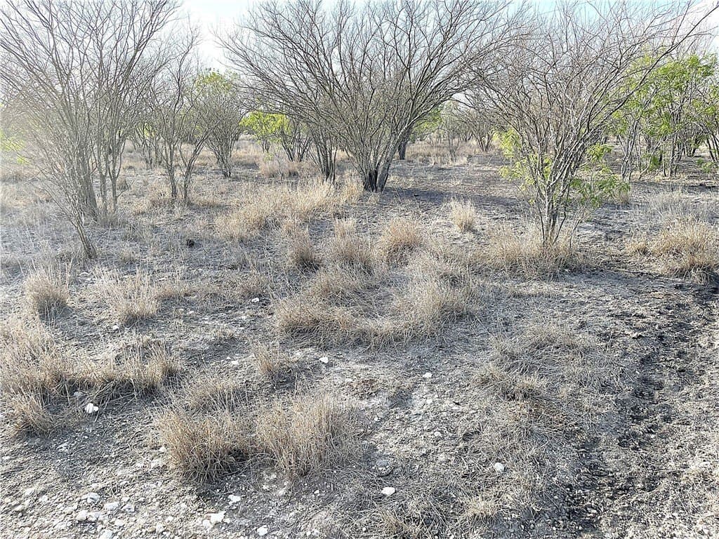 59.54 acres in Bee County