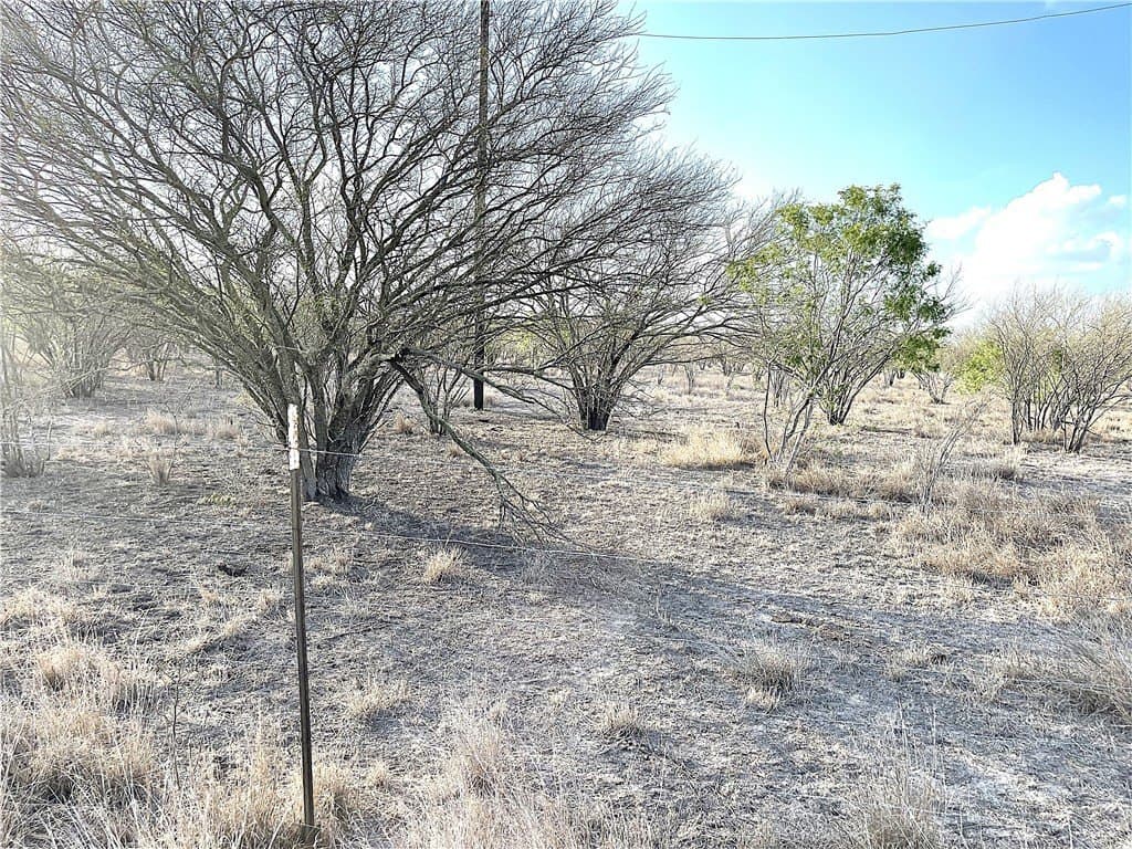 59.54 acres in Bee County gallery image 2