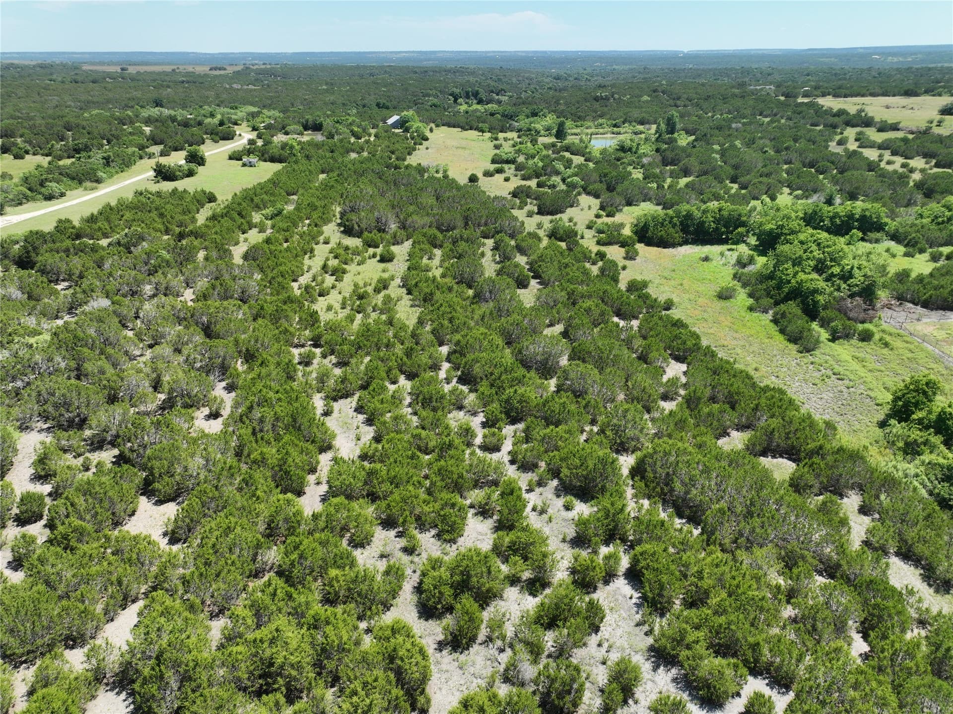 40 acres in Hamilton County gallery image 4