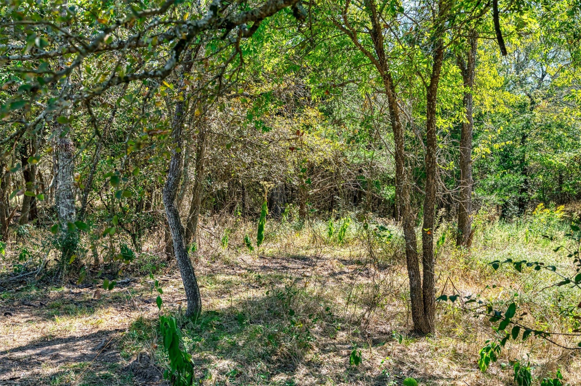 1 acres in Hunt County - photo 14