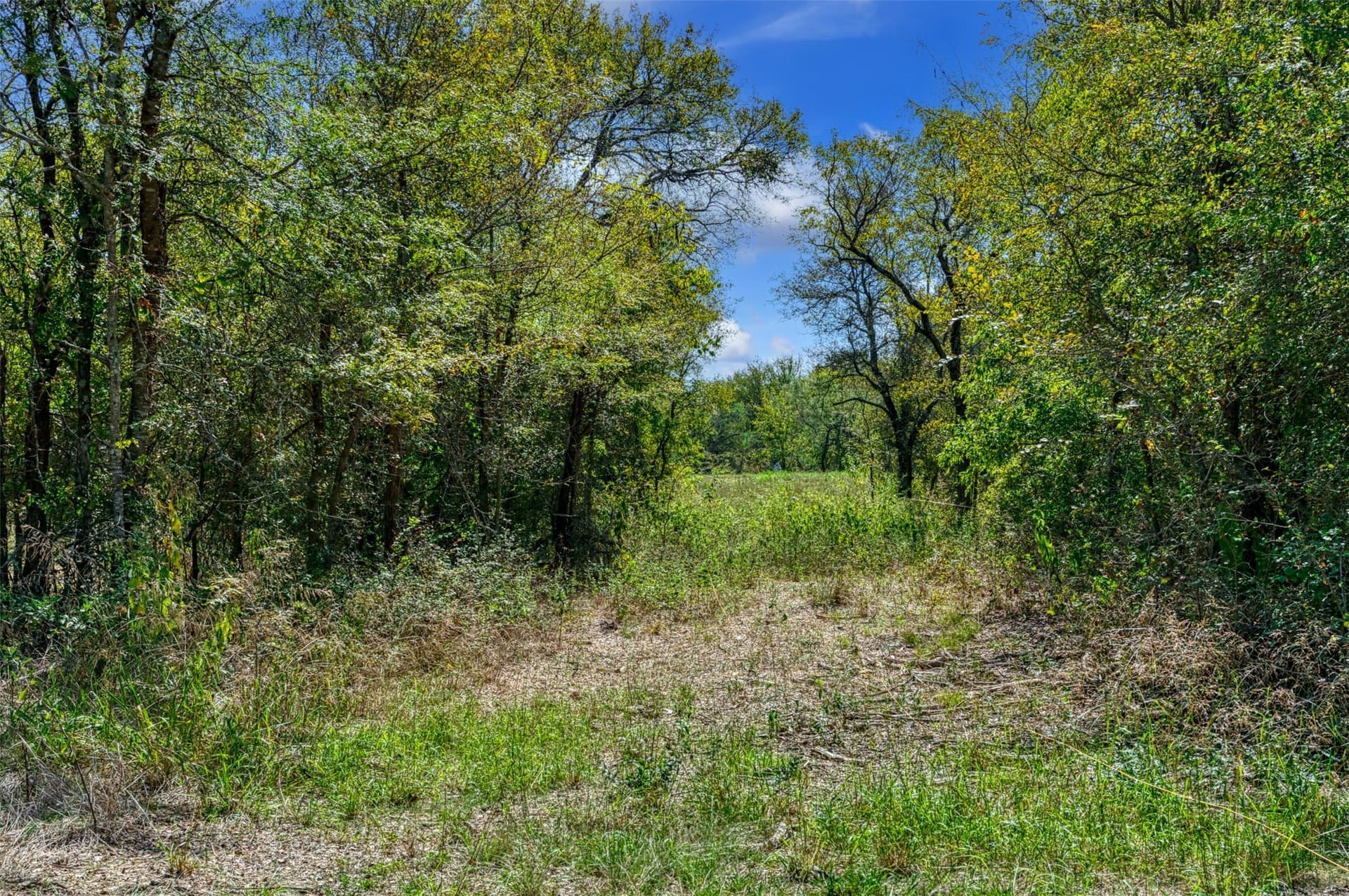 1 acres in Hunt County - photo 10