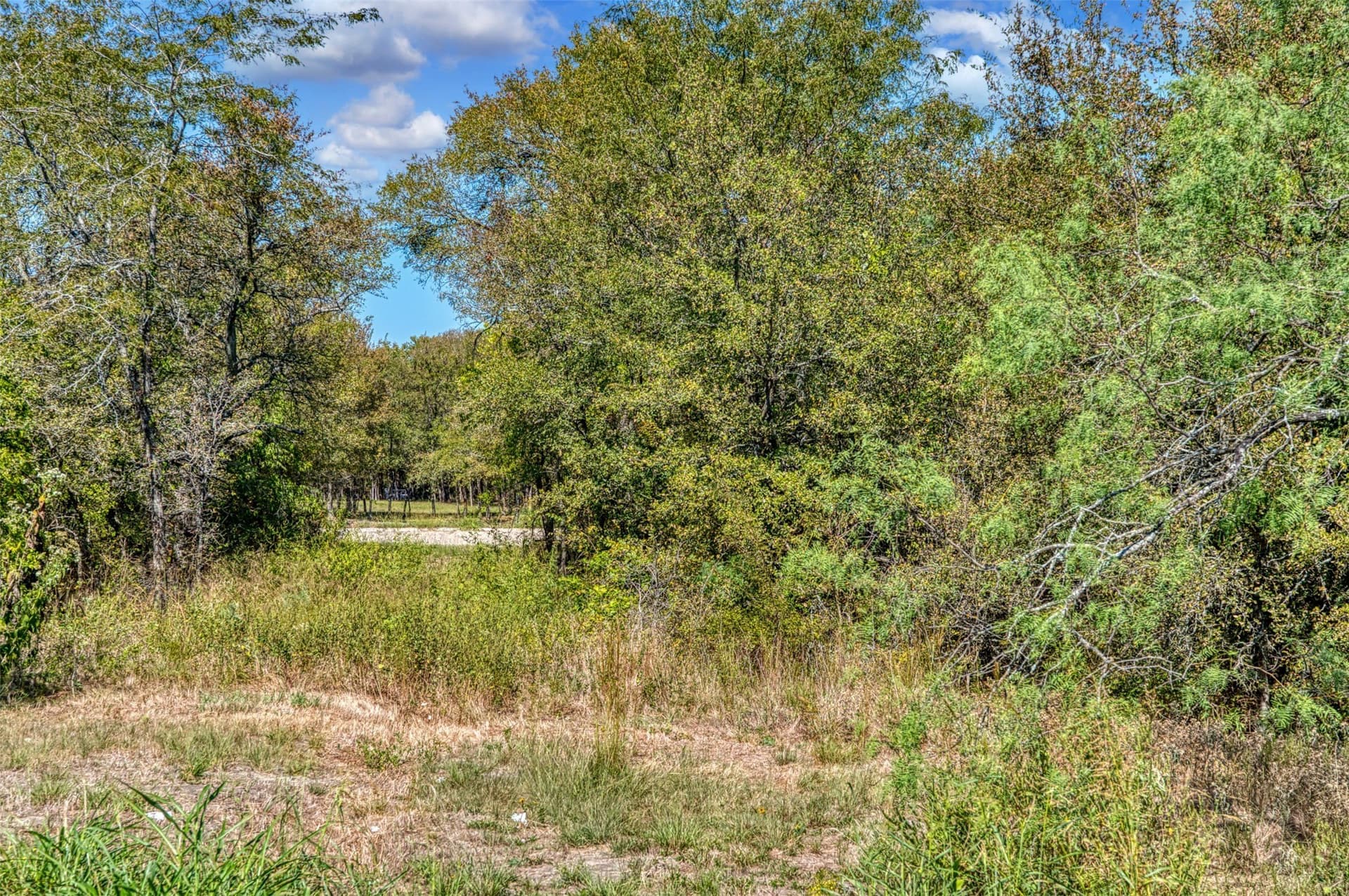 1 acres in Hunt County - photo 17