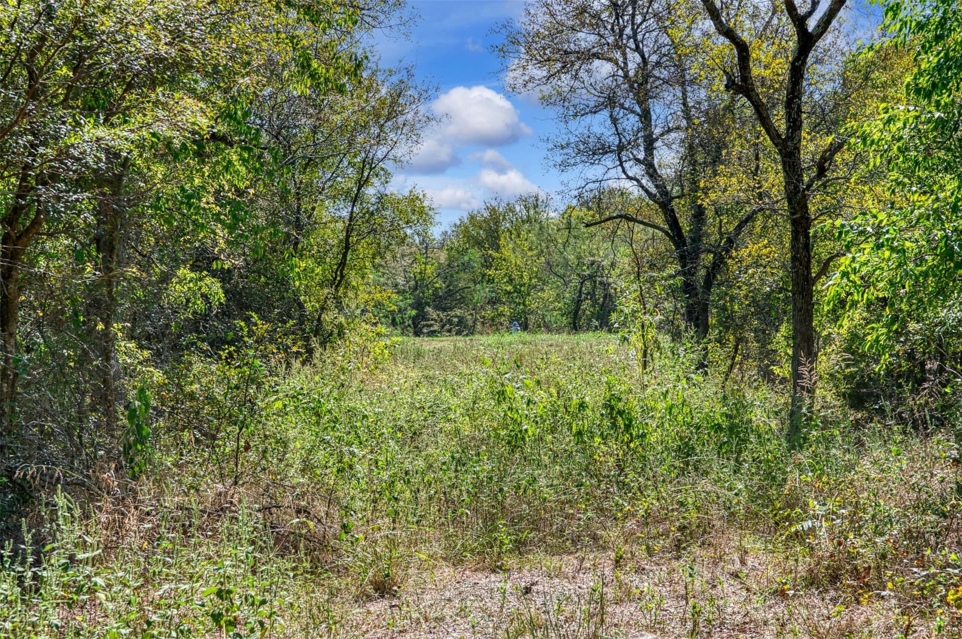 1 acres in Hunt County - photo 11