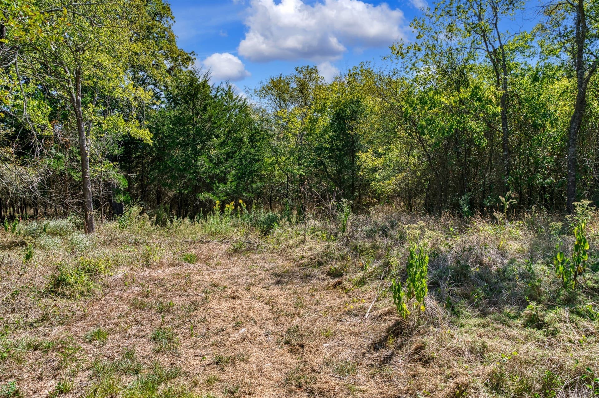 1 acres in Hunt County - photo 13