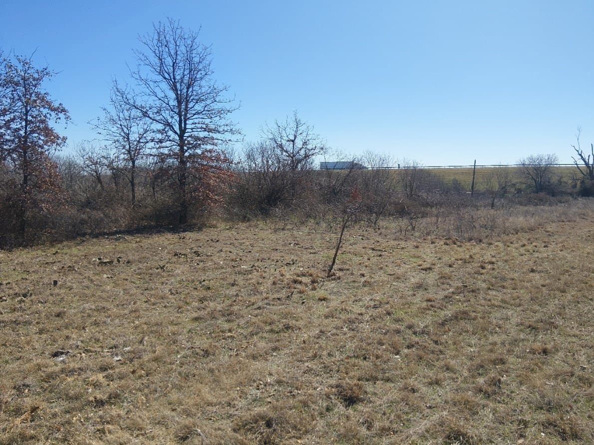 6 acres in Eastland County gallery image 2