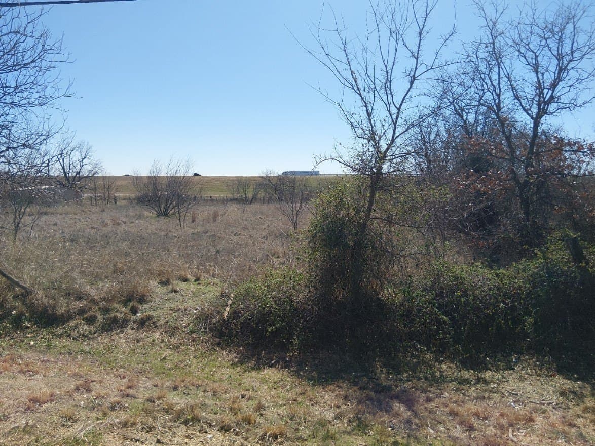 6 acres in Eastland County gallery image 4