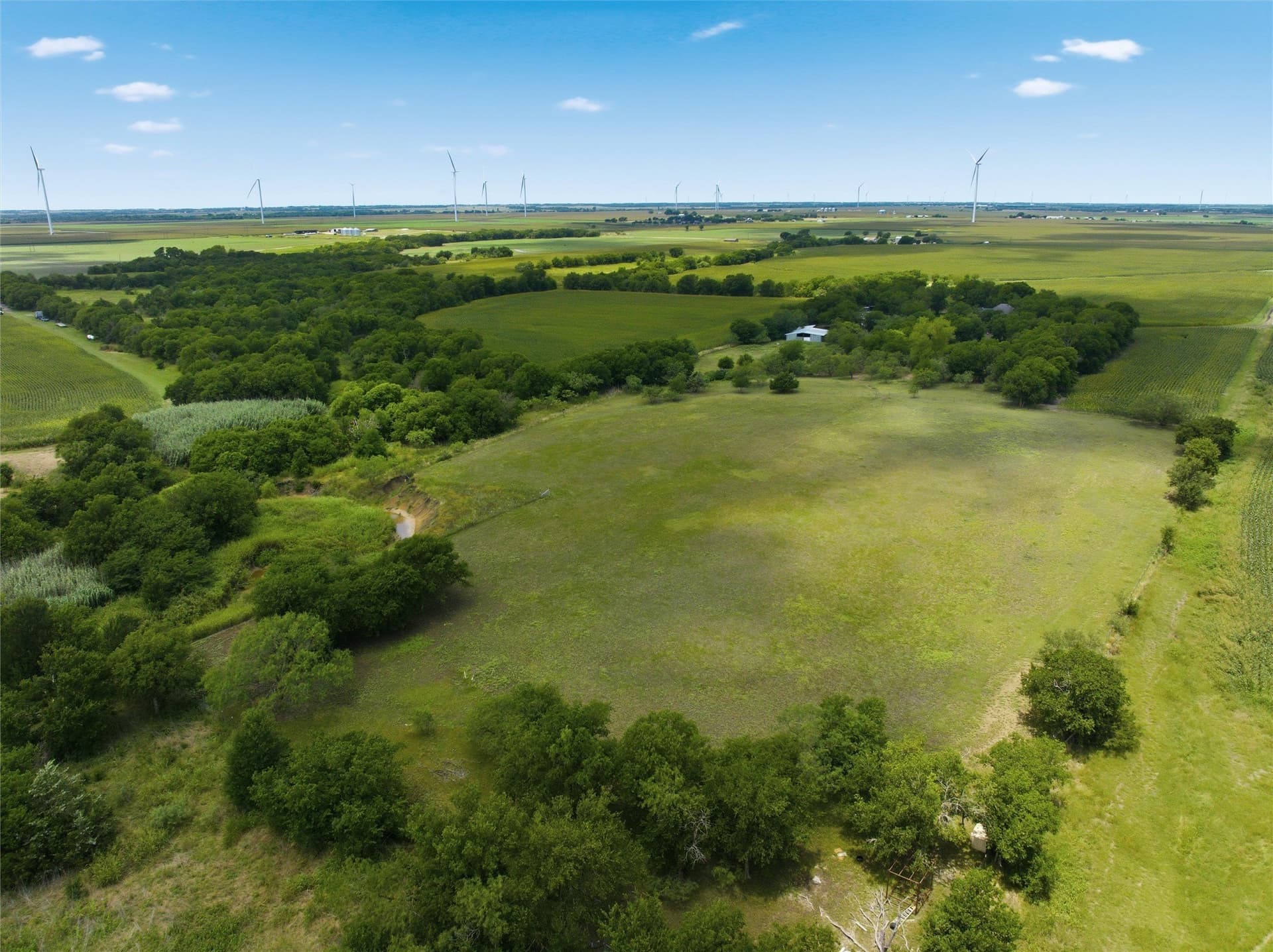 100.69 acres in Hill County - photo 8