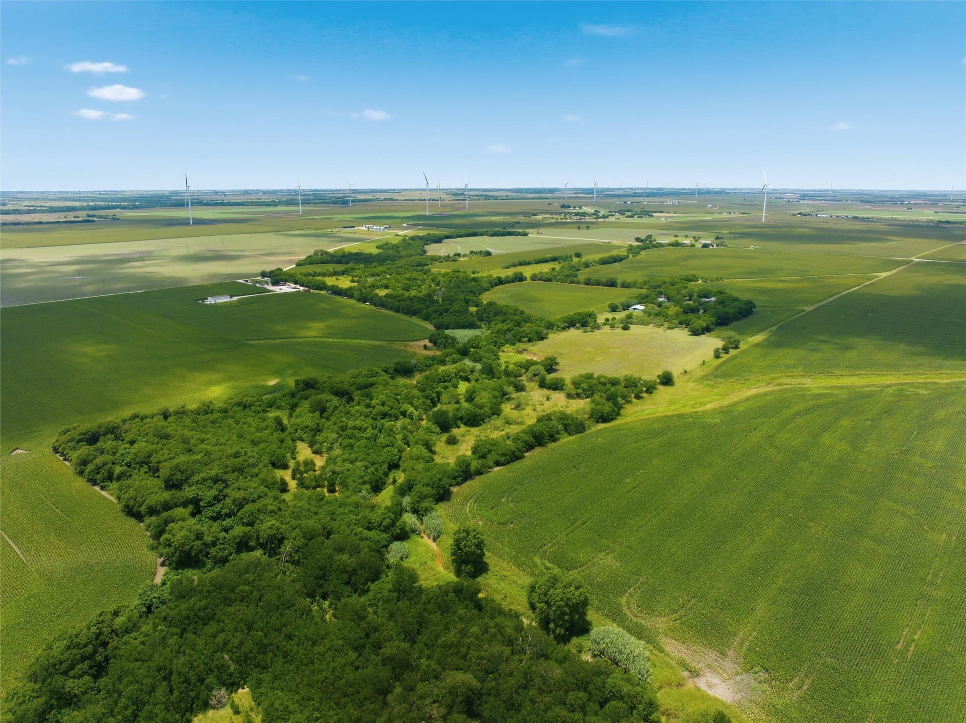 100.69 acres in Hill County - photo 9