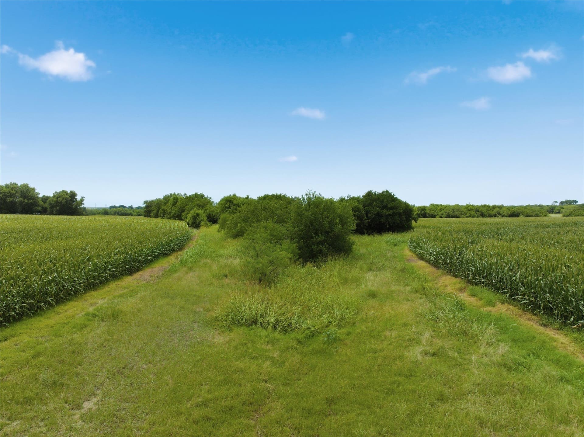100.69 acres in Hill County - photo 4