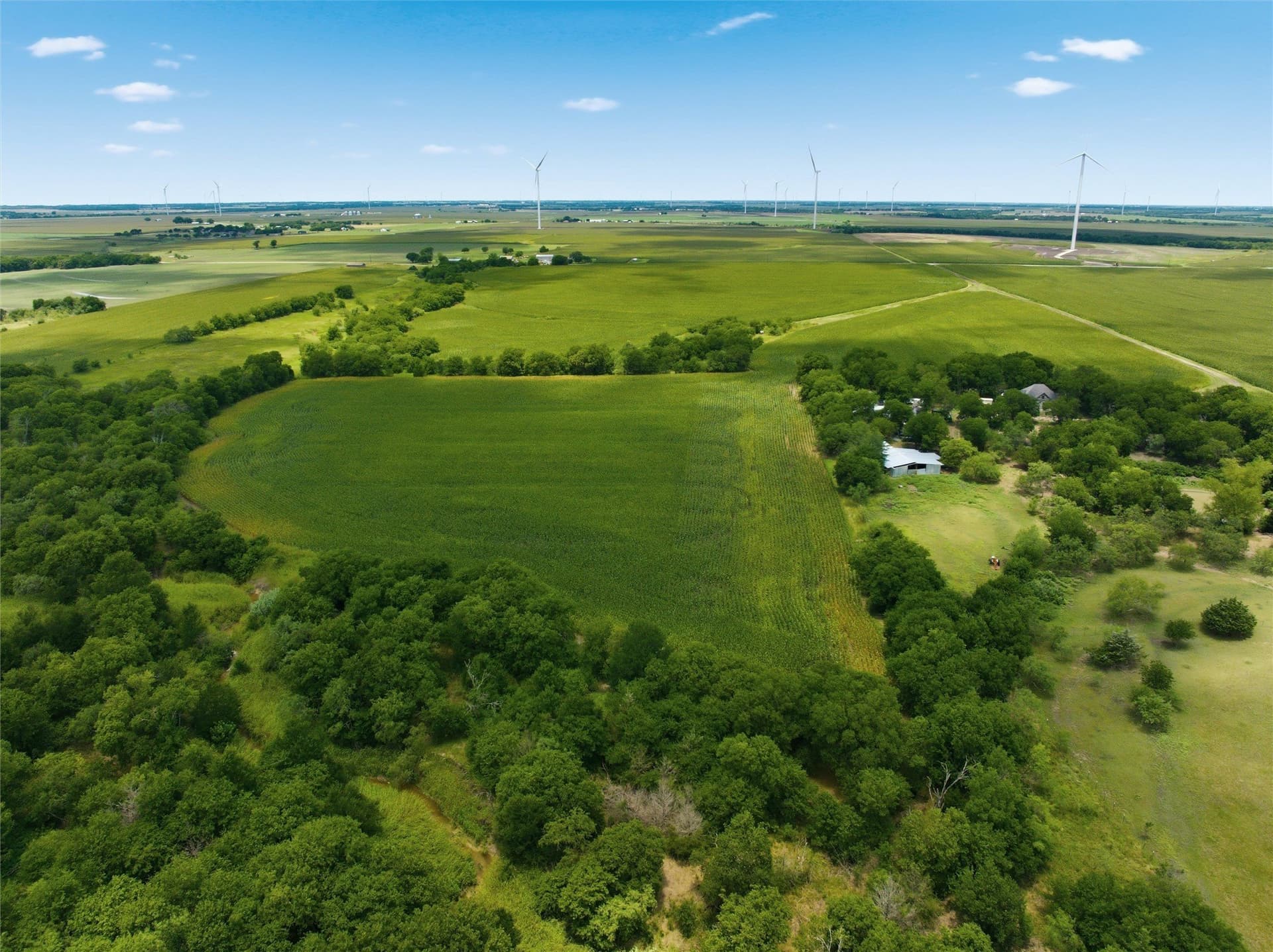100.69 acres in Hill County - photo 10