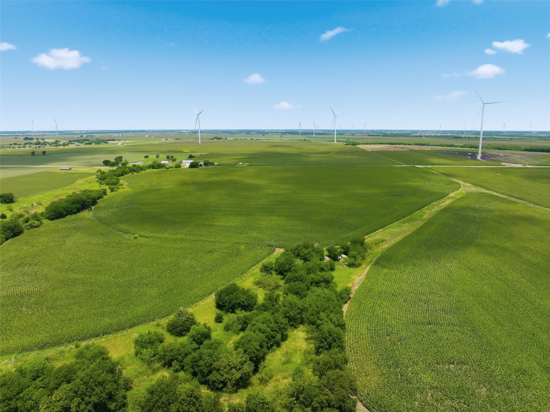 100.69 acres in Hill County - photo 6