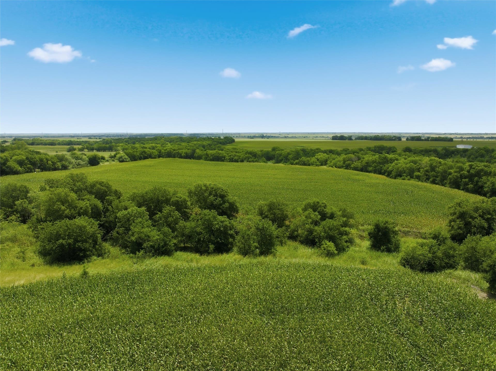 100.69 acres in Hill County - photo 7