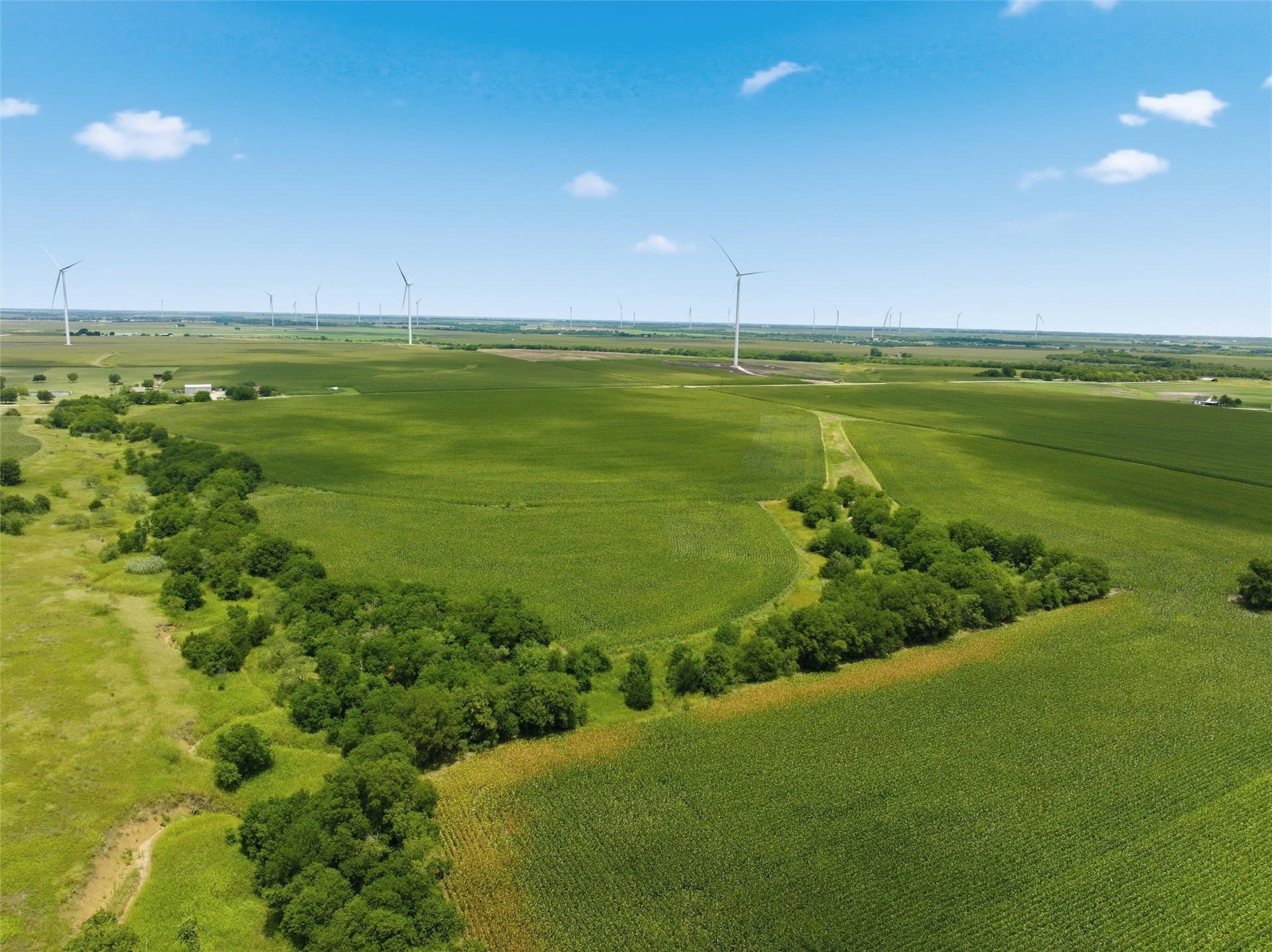 100.69 acres in Hill County - photo 5