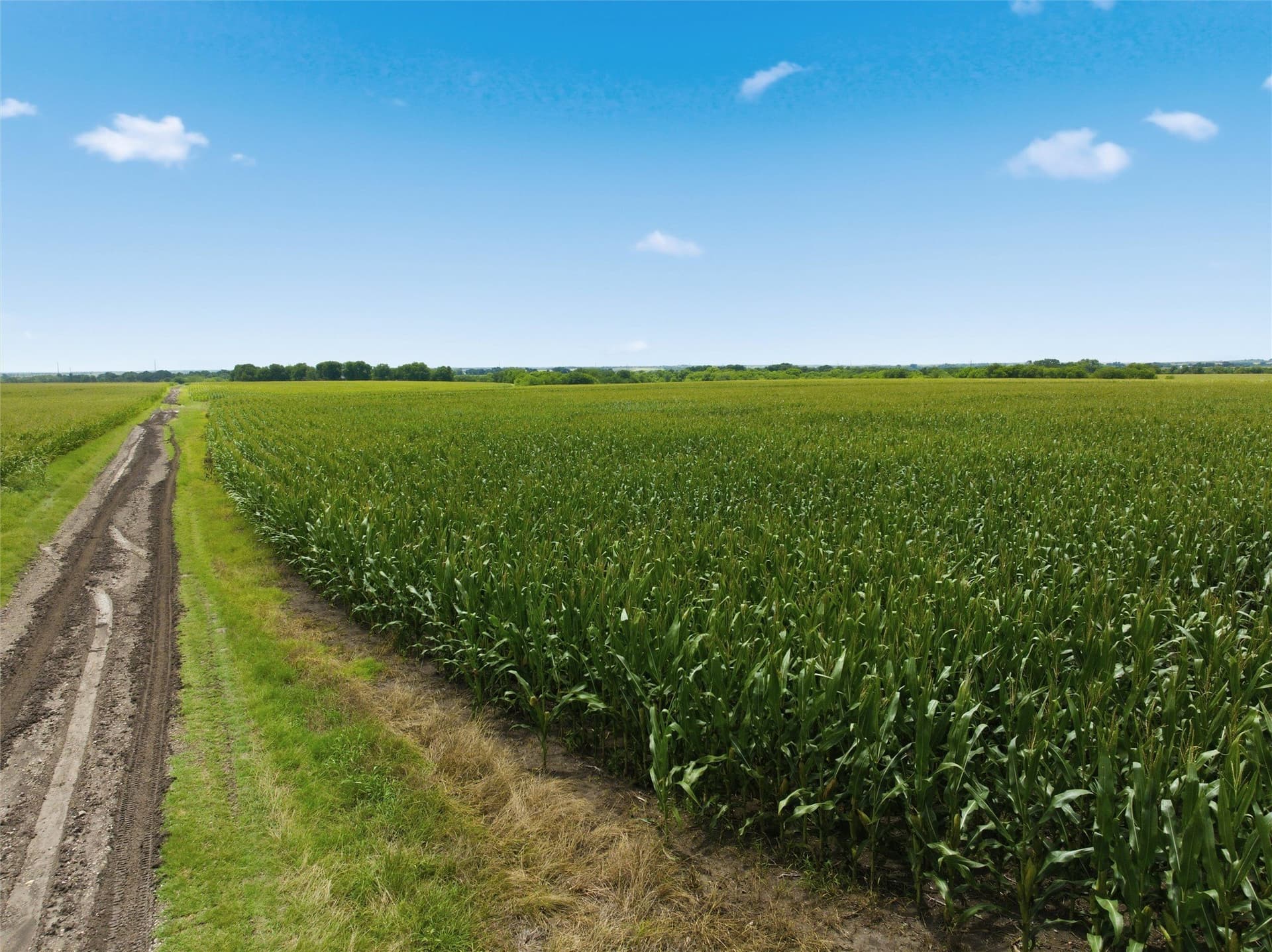 100.69 acres in Hill County - photo 12