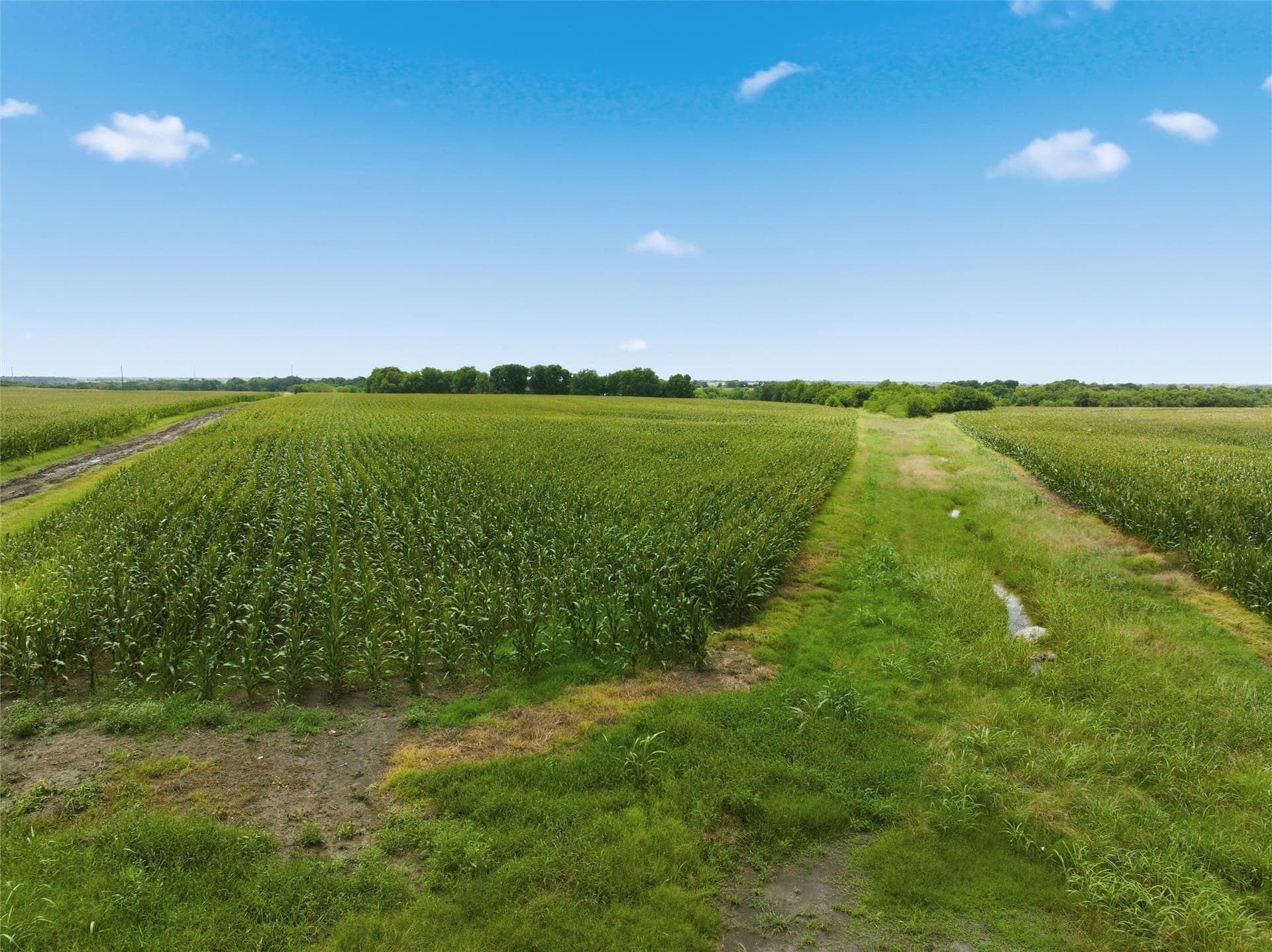 100.69 acres in Hill County - photo 3