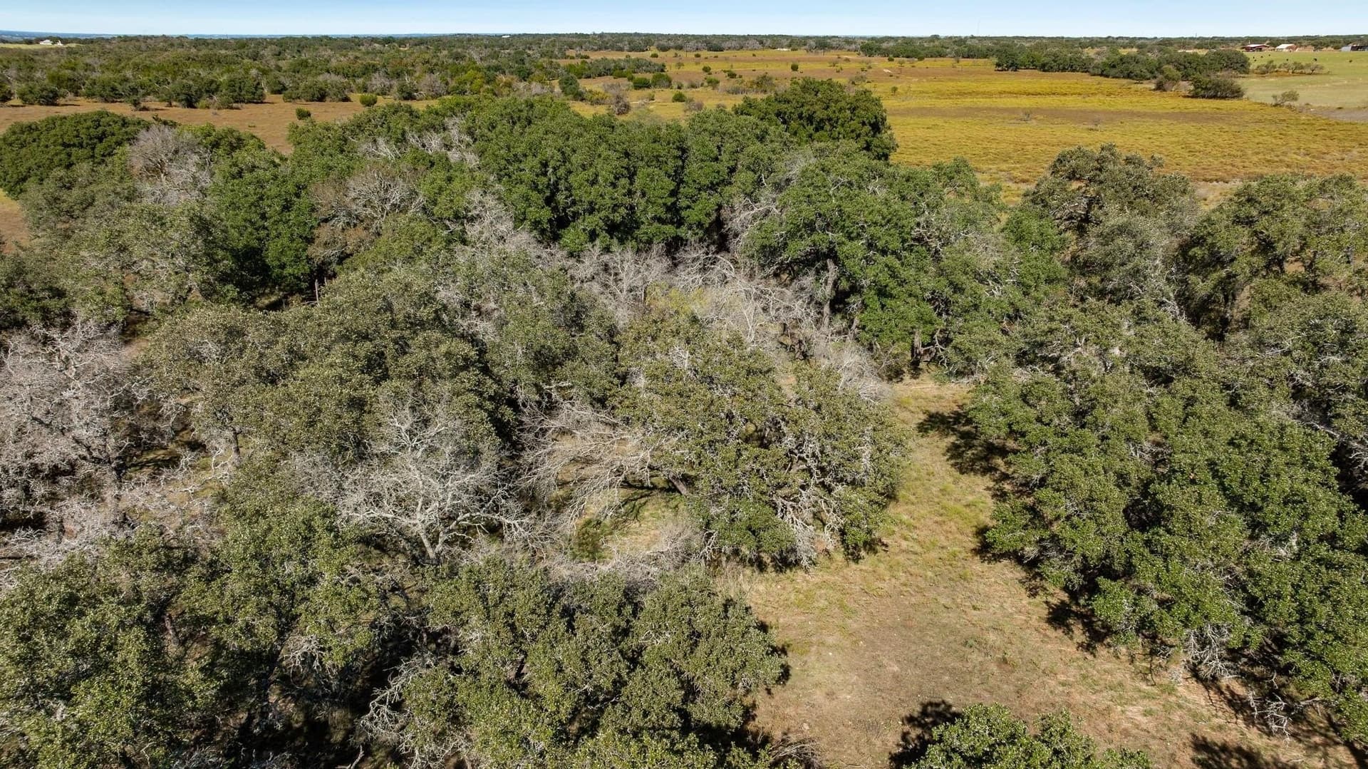 10.01 acres in Comanche County - photo 14