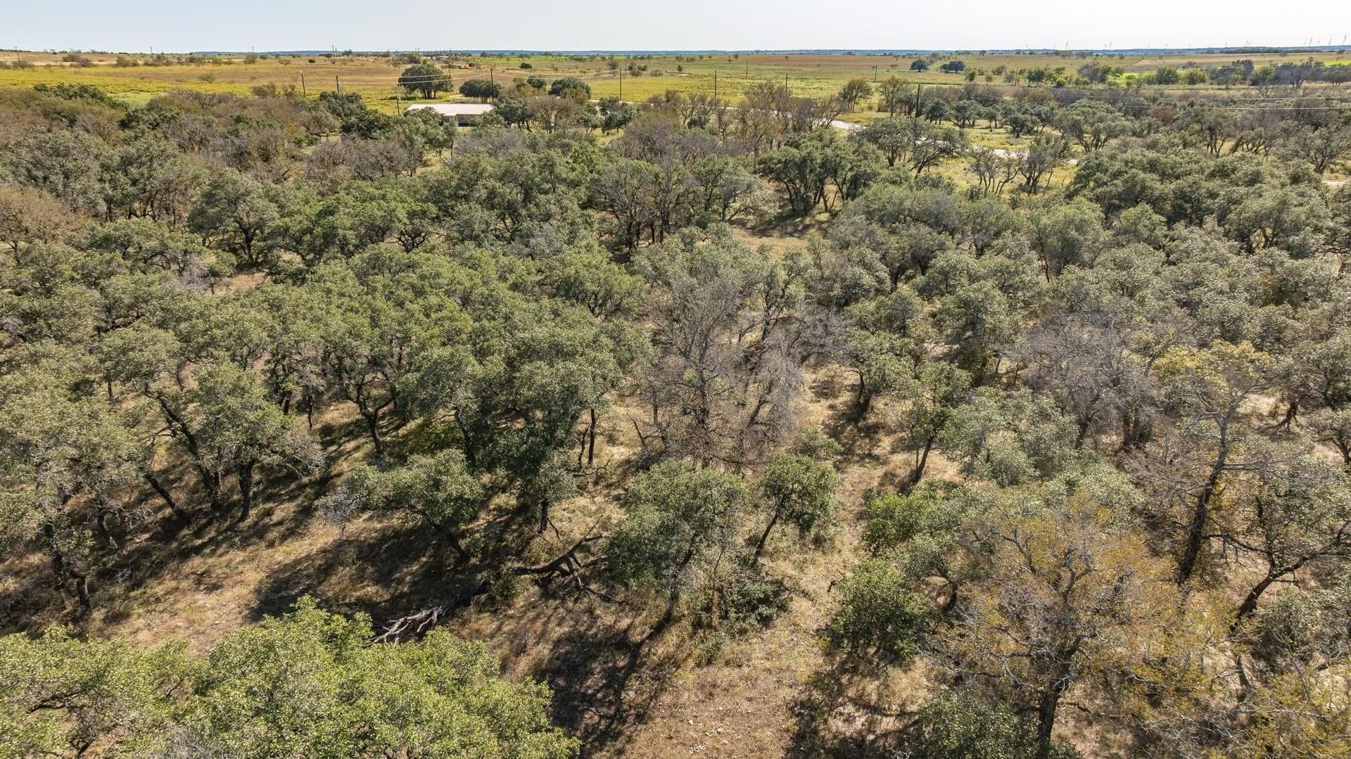 10.01 acres in Comanche County - photo 16