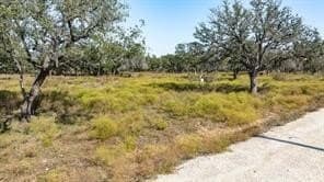 10.01 acres in Comanche County - photo 19